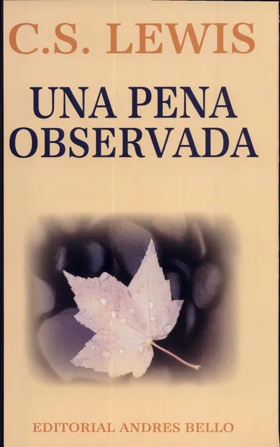 Portada de Una pena en observación