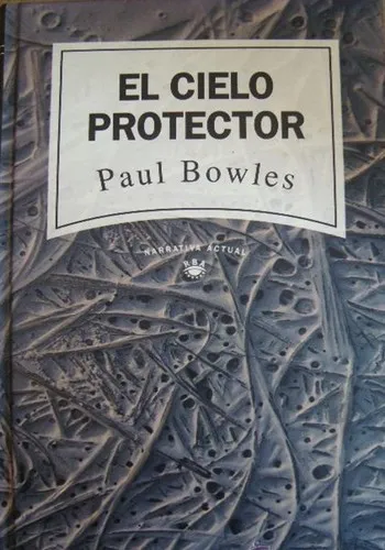 Portada de El cielo protector