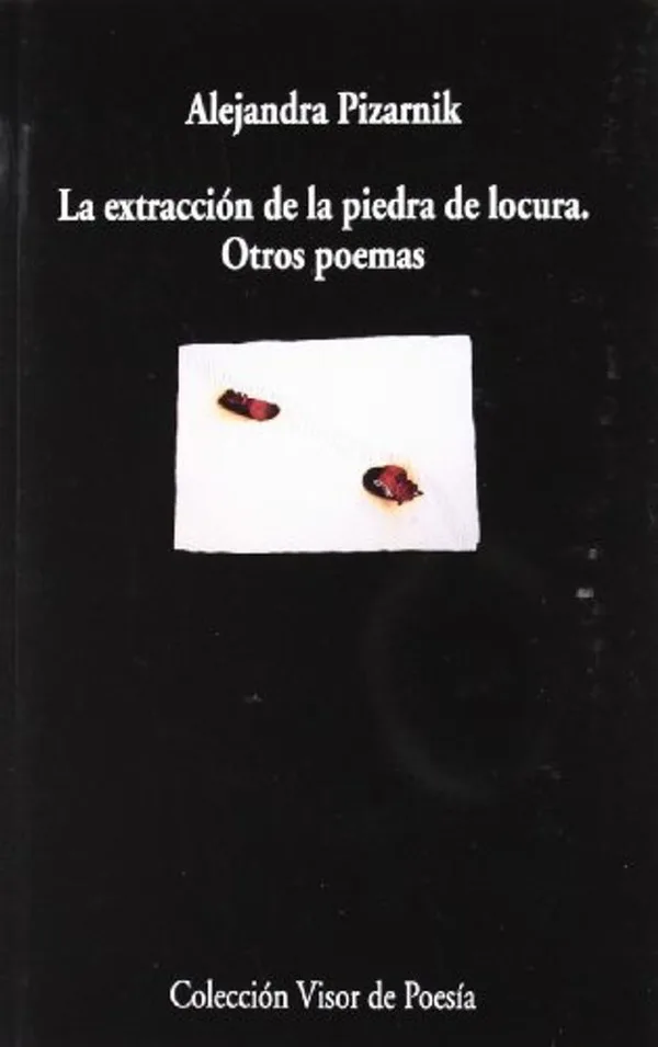 Portada de La extracción de la piedra de la locura