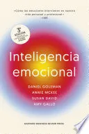 Portada de Inteligencia emocional