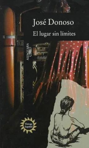 Portada de El lugar sin límites