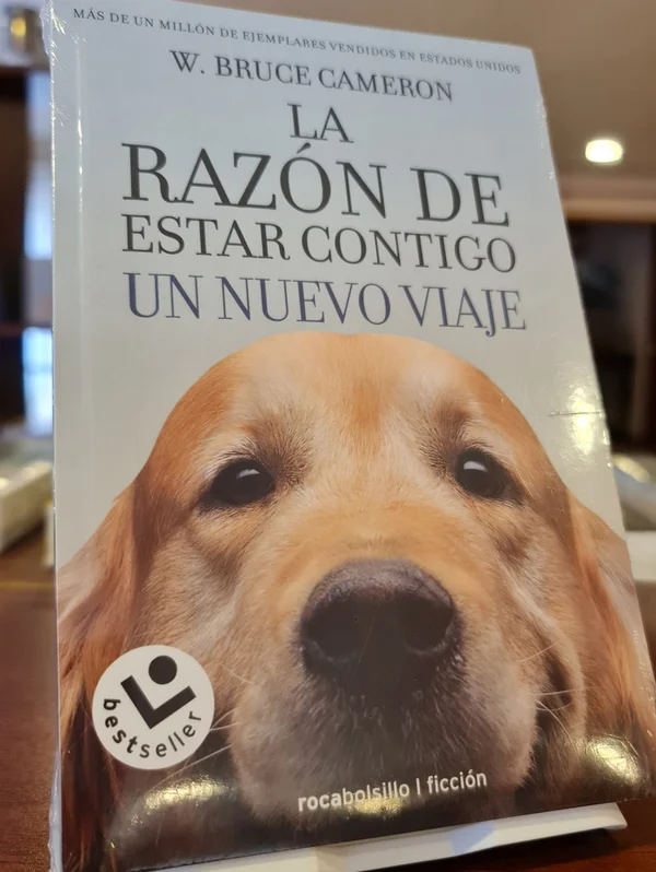 Portada de La razón de estar contigo: un nuevo viaje.