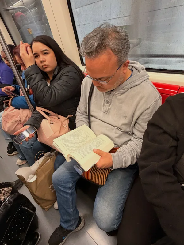 Alguien leyendo Seguridad, Territorio, Población